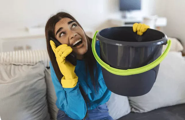 Waterproofing Mobile